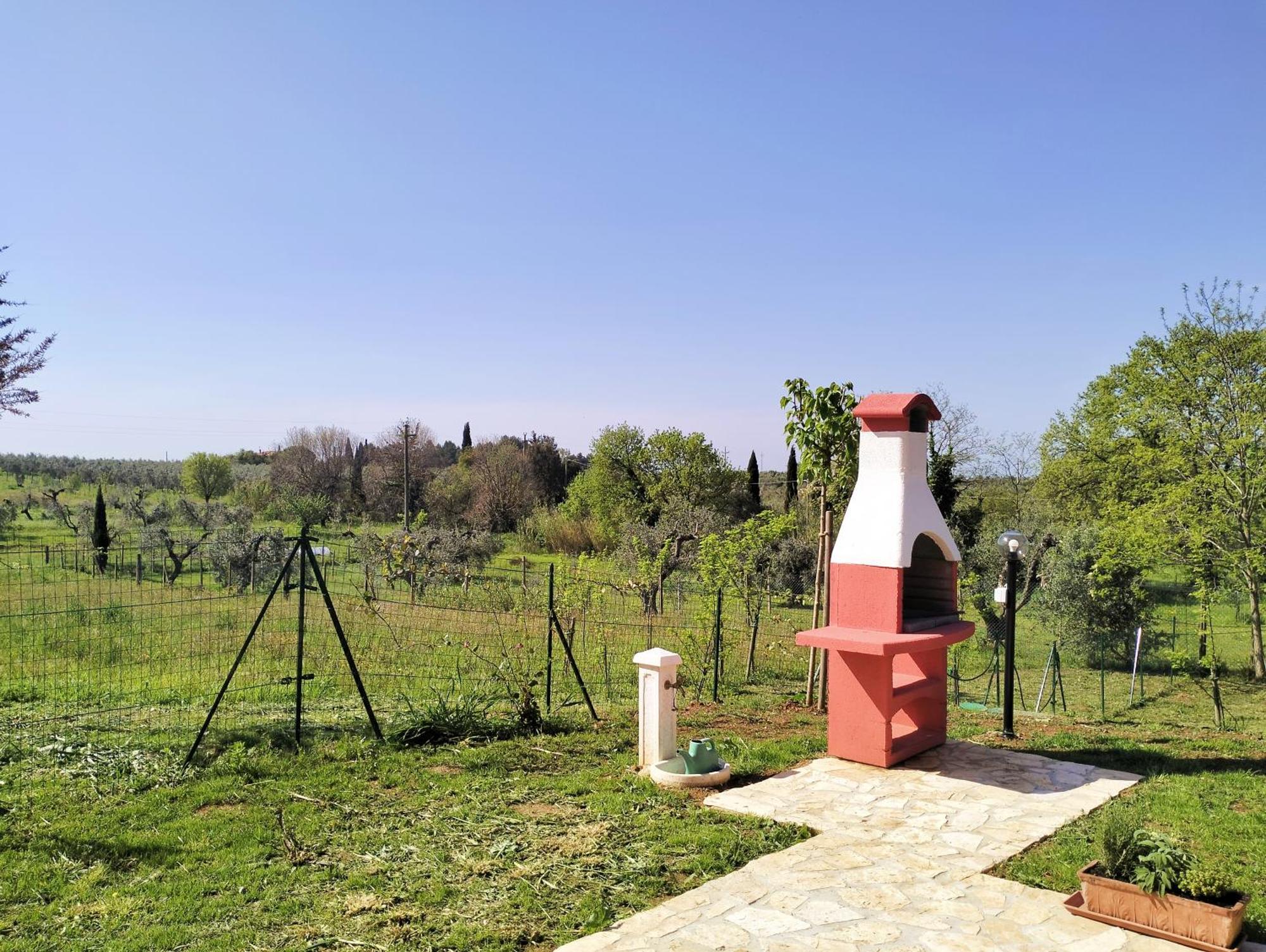 Villetta Fedora Immersa Nel Verde Cecina  Exterior foto